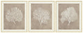 Hendridge Wall Art (Set of 3)