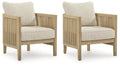 Spooners Cove Outdoor Lounge Chair with Cushion (Set of 2)