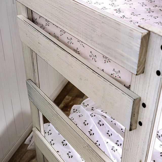 Arlette Twin/Twin Bunk Bed